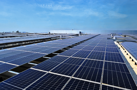 هندسة الطاقة والطاقة