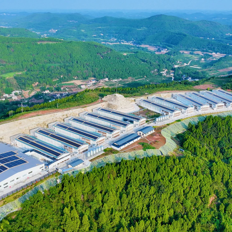 الضوئية إبك خدمات المشروع